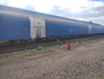 CPS FLT-302181-5